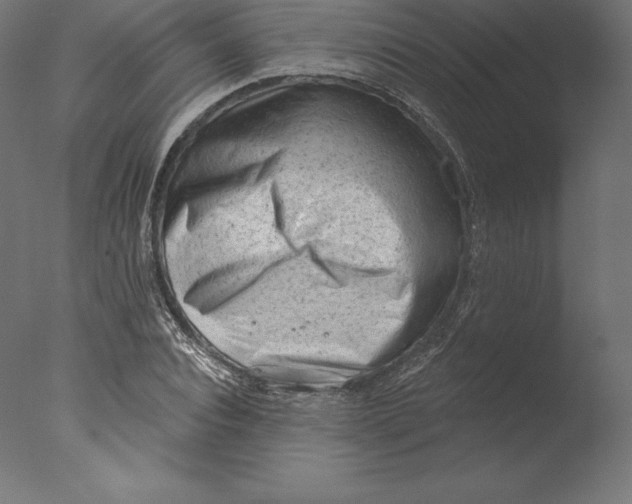 X0000076320928200610201635