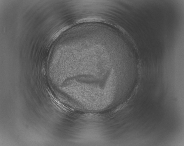 X0000076320929200610201635