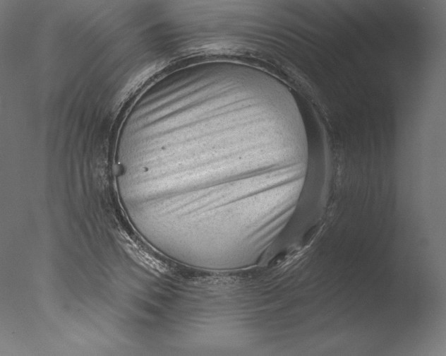 X0000076320930200610201635