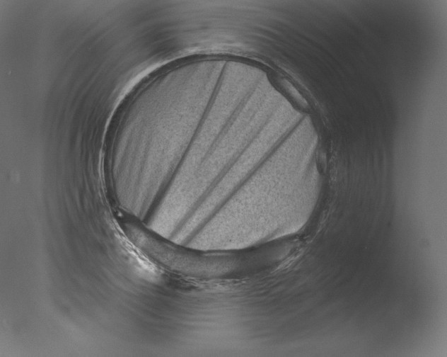 X0000076320932200610201635