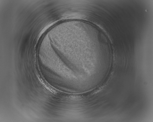 X0000076320933200610201635