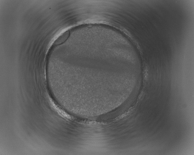 X0000076320934200610201635