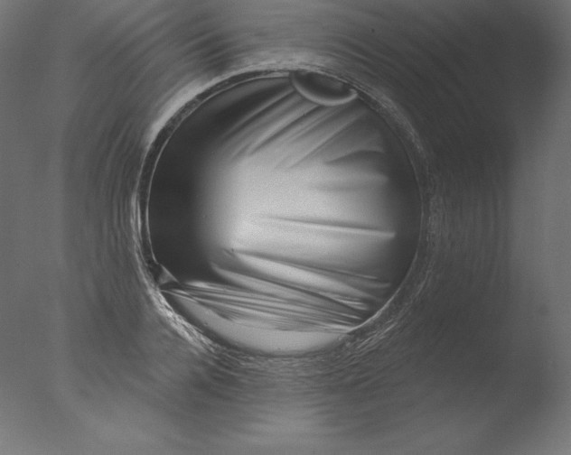 X0000076320936200610201635