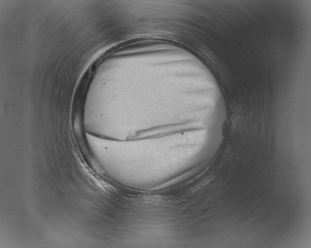 X0000076320940200610201635