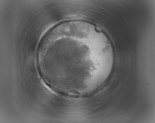 X0000076320941200610201635