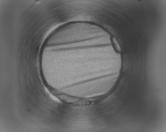 X0000076320942200610201635