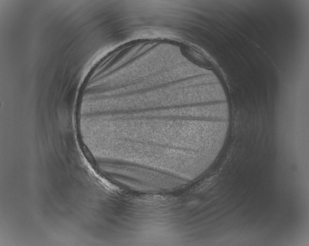 X0000076320943200610201635