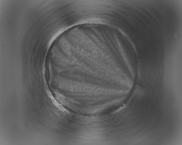 X0000076320944200610201635