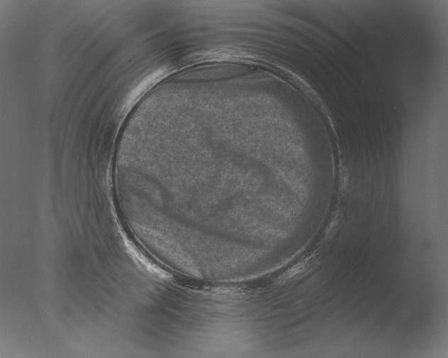 X0000076320946200610201635