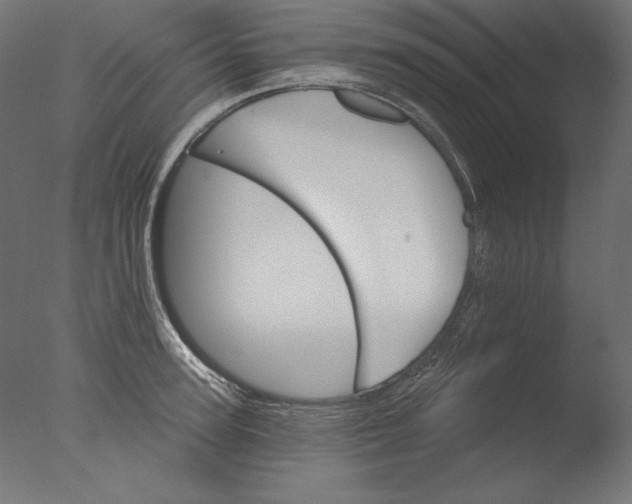 X0000076320947200610201635