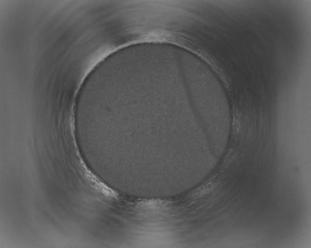 X0000076320950200610201635