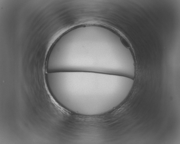 X0000076320951200610201635