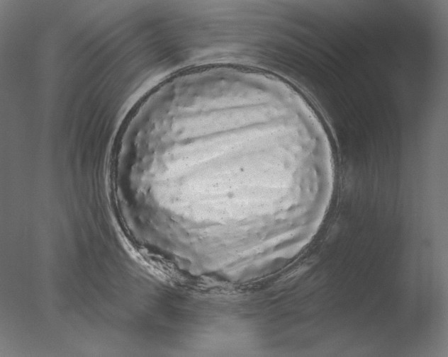 X0000076320957200610201635