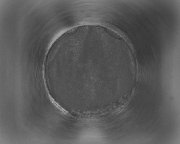 X0000076320958200610201635