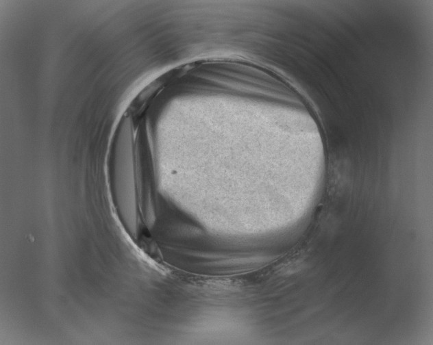 X0000076320959200610201635