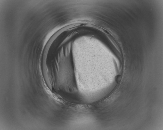 X0000076320960200610201635