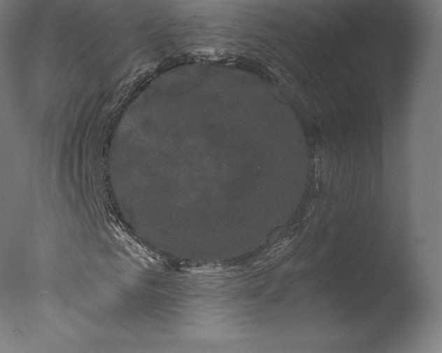 X0000076320961200610201634