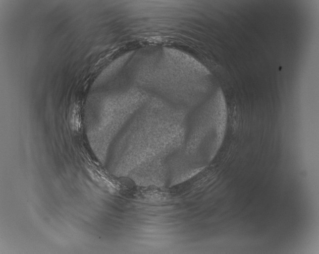 X0000076320962200610201634