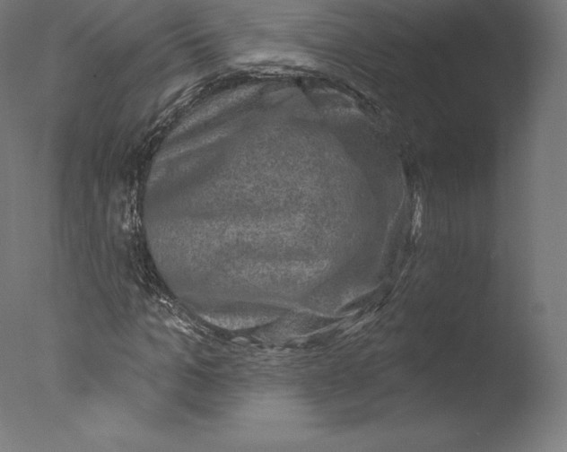 X0000076320965200610201634