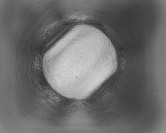 X0000076320966200610201634