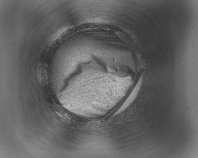 X0000076320968200610201634