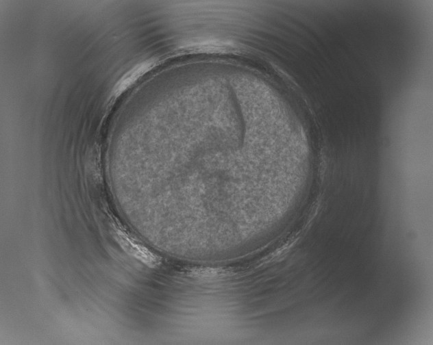 X0000076320970200610201634