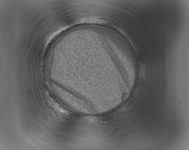 X0000076320971200610201634