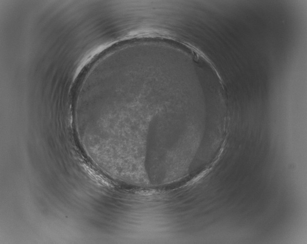 X0000076320973200610201634