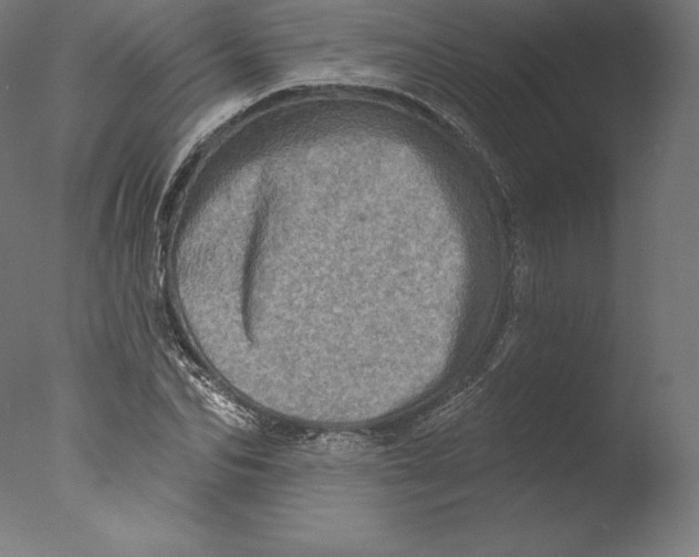 X0000076320974200610201634