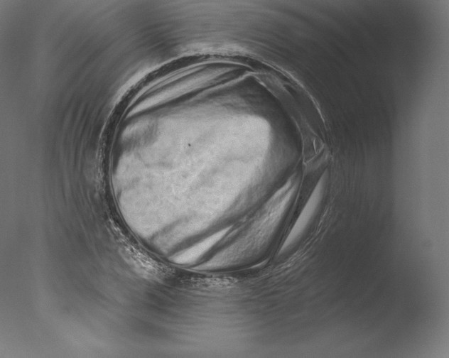 X0000076320975200610201634