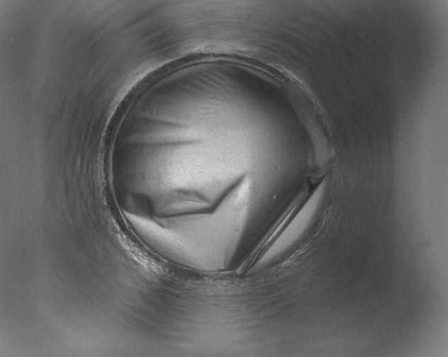 X0000076320976200610201634