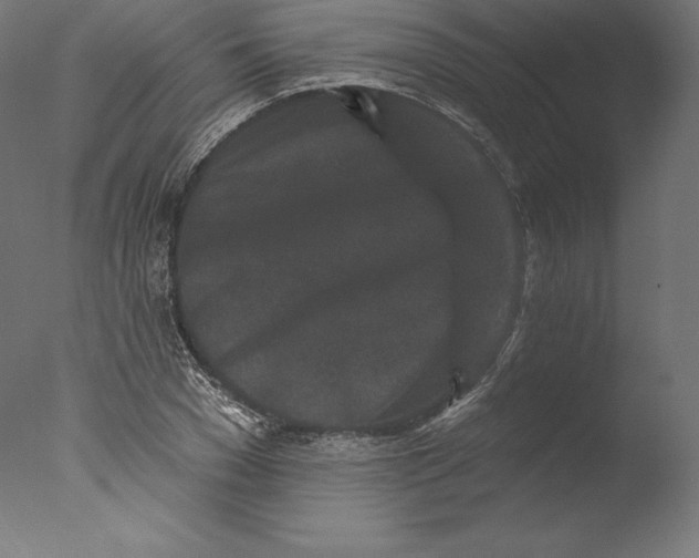 X0000076320977200610201634