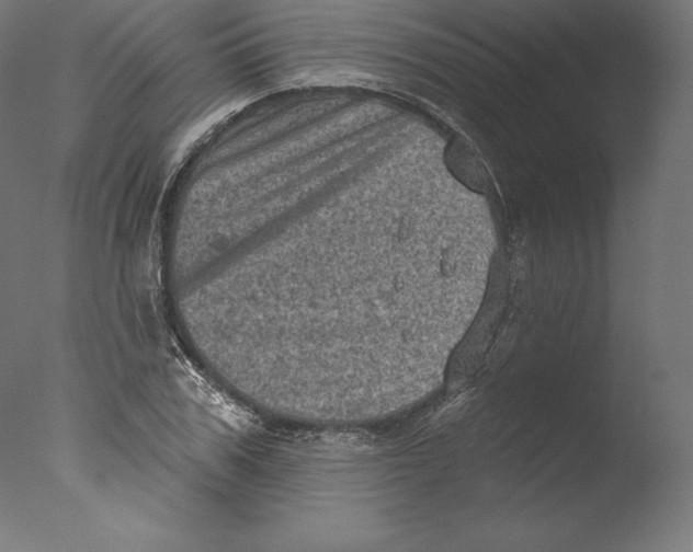 X0000076320979200610201634