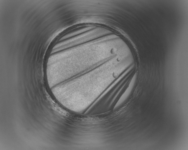 X0000076320980200610201634