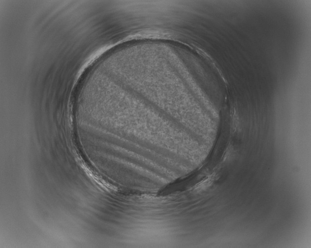 X0000076320981200610201634