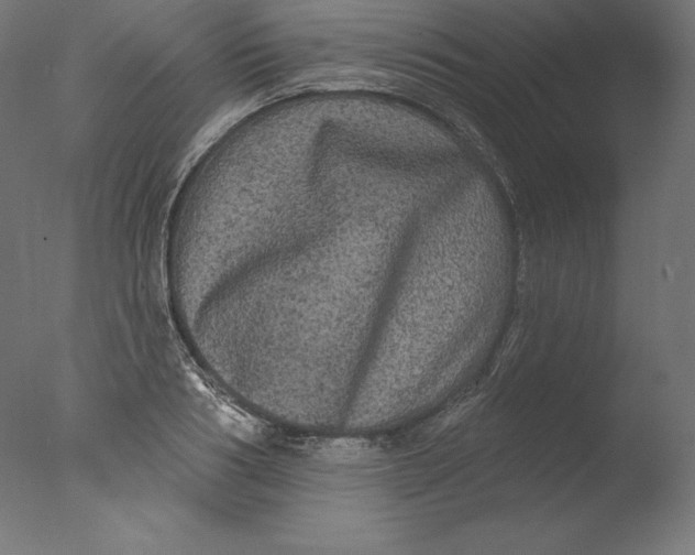 X0000076320986200610201634