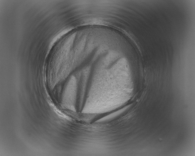 X0000076320987200610201634