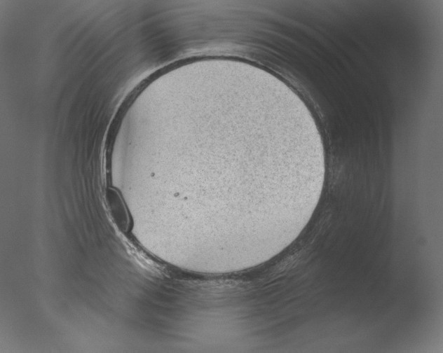 X0000076320988200610201634