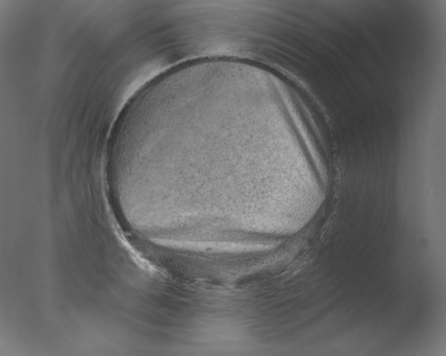 X0000076320991200610201634