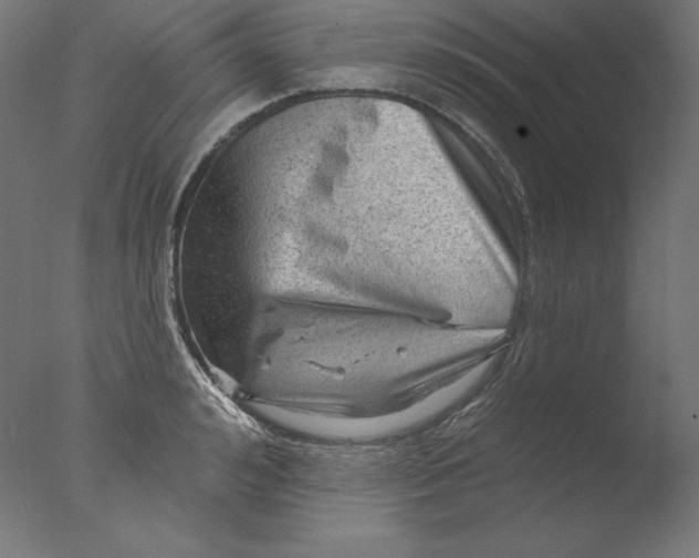 X0000076320992200610201634