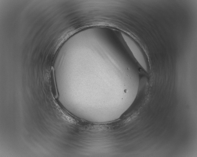 X0000076320993200610201634