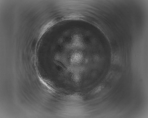 X0000076320994200610201634