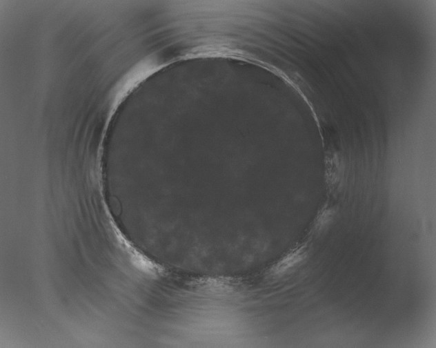 X0000076320995200610201634