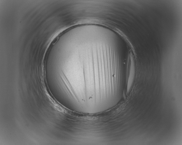 X0000076320996200610201634