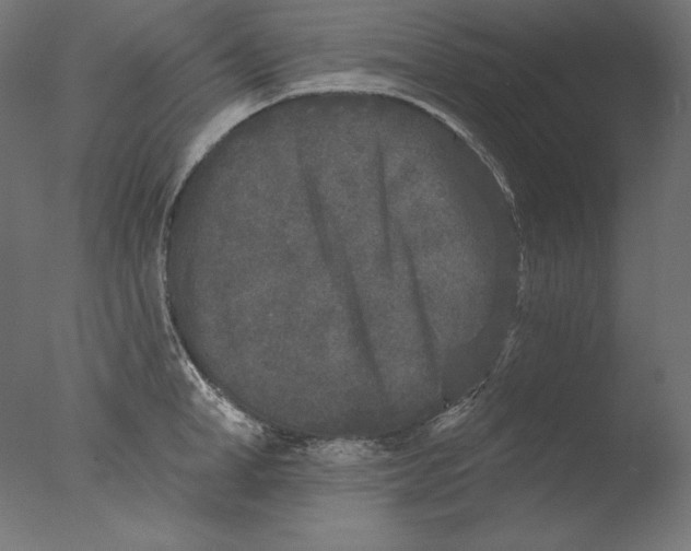 X0000076320998200610201634