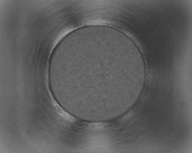 X0000076321000200610201634