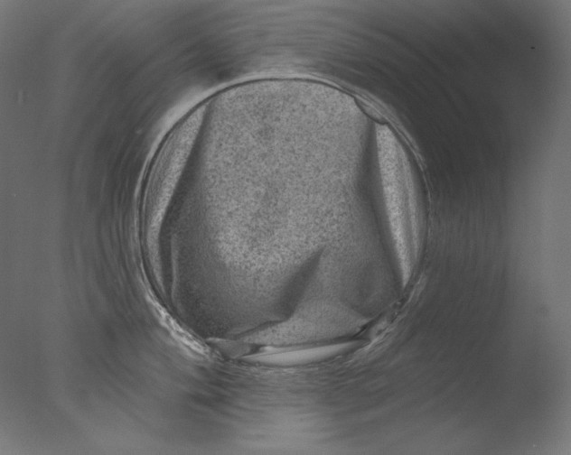 X0000076321004200610201634