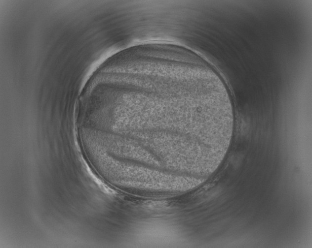 X0000076321006200610201634