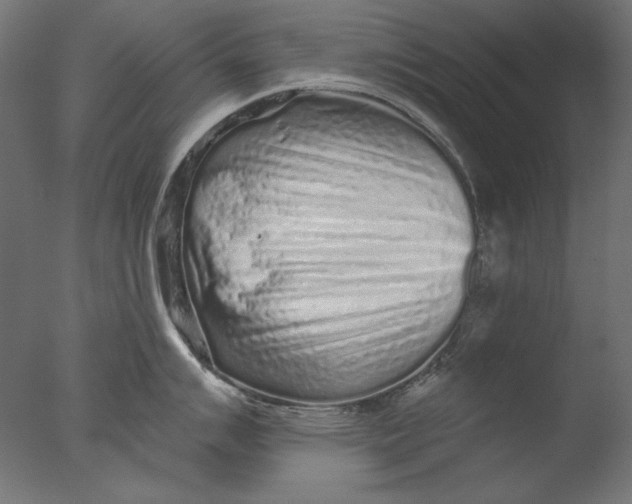 X0000076321007200610201634