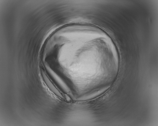 X0000076321008200610201634